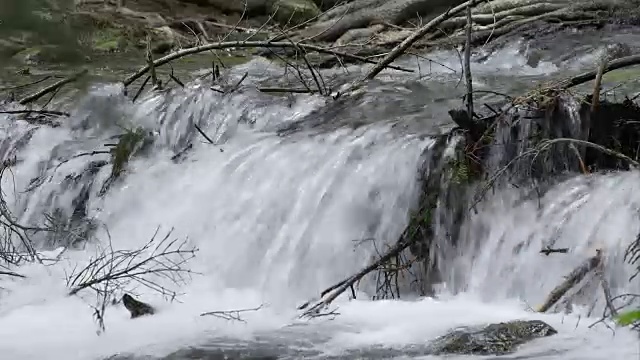 水流从落下的树枝中流下视频素材