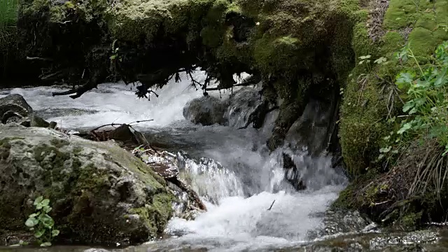 水在苔藓树桩下流动视频素材