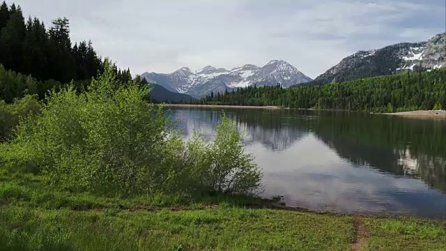 鸟瞰图湖泊周围的绿色森林和山脉视频素材