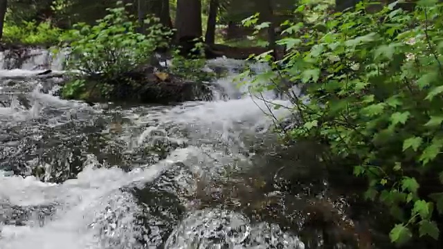 河流从山上流过的绿色植物的全景。视频素材