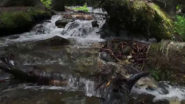 沿着长满青苔的河岸向上走。视频素材