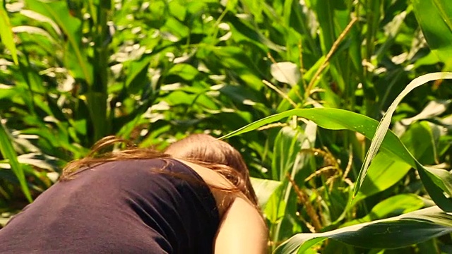 美丽的女孩走在加泰罗尼亚比利牛斯乡村在夏季旅游度假通过该地区的玉米田。视频素材