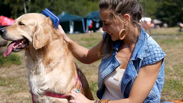 迷人的女孩在户外梳理她的金毛猎犬视频素材