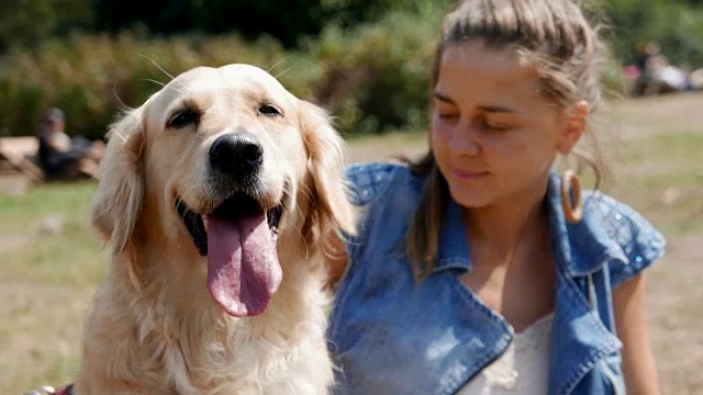 可爱的女孩在户外梳理她的金毛猎犬视频素材