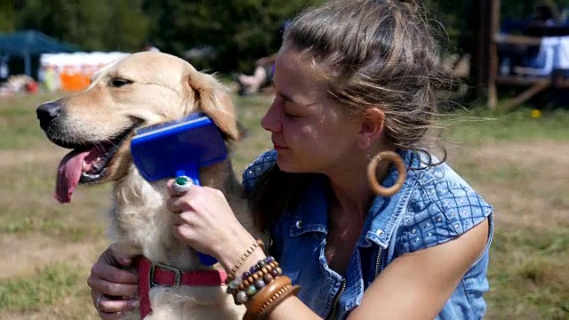 美丽的女孩在户外梳理她的金毛猎犬视频素材