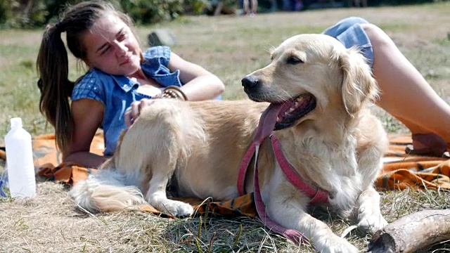 女孩和她的金毛猎犬躺在户外公园的毯子上享受着好天气视频素材