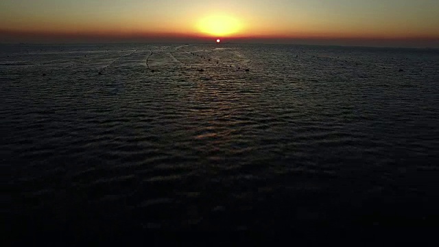 港阳杭港日出时海面鸟瞰图视频素材