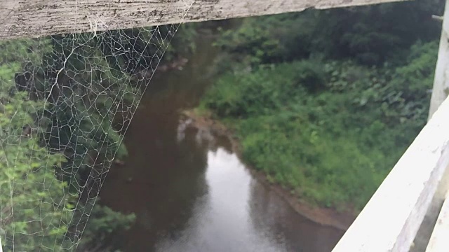 蜘蛛网和河流的慢镜头，拜伦湾腹地视频素材