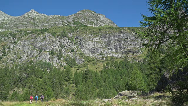 福马扎山谷的成年徒步旅行者。视频素材