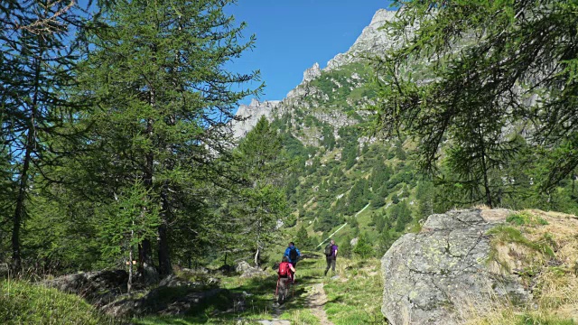 福马扎山谷的徒步旅行者。视频素材