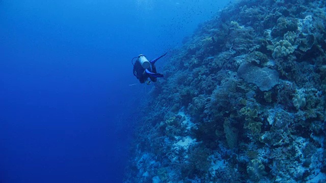 水肺潜水靠近水下悬崖视频素材