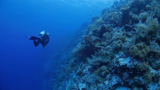 深海潜水在海底悬崖视频素材