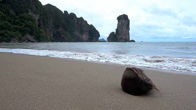 慢镜头海浪拍打空沙滩与椰子视频素材