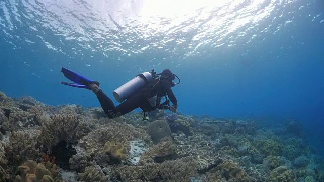 潜水者在珊瑚礁下的海面下游泳视频素材