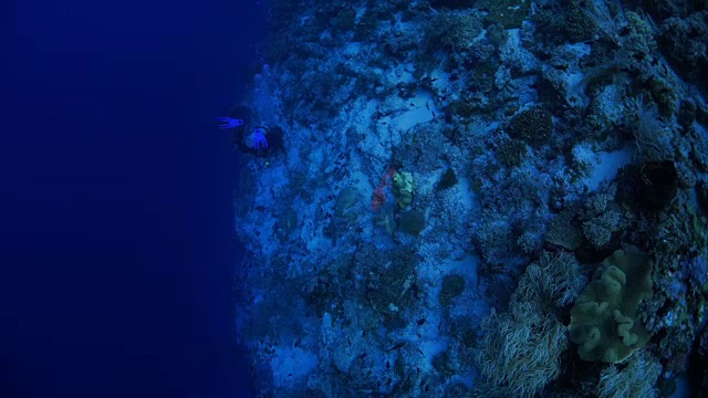 深海暗礁鸟瞰图视频素材