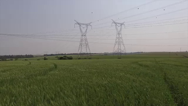 电线和麦田。视频素材