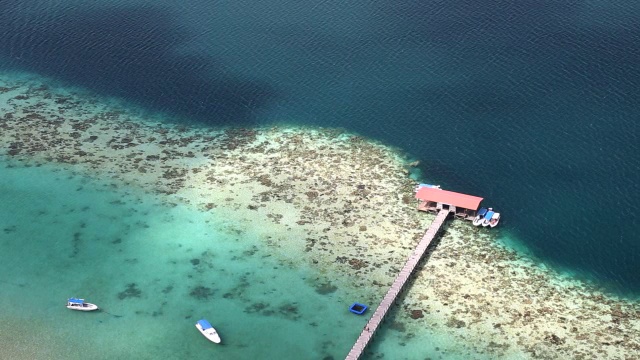 婆罗洲屯沙巴海洋马来西亚海洋公园视频素材