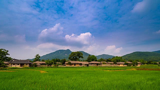 乡村景色与稻田视频素材