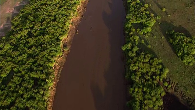 马拉河(航拍)视频素材