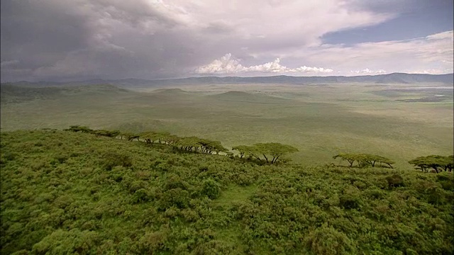 绿色参数Ngorongoro (Tansania)视频素材