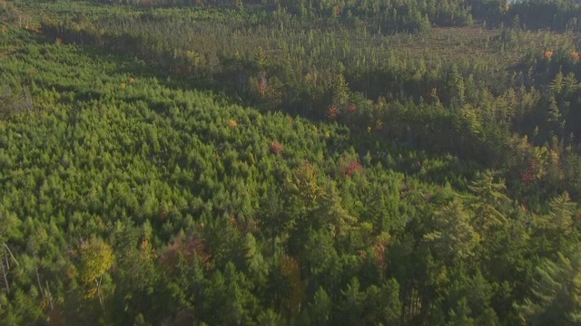 WS AERIAL POV秃山池塘和有树梢的秋天森林/萨默塞特县，缅因州，美国视频素材