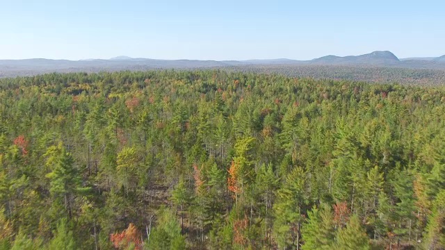 WS AERIAL POV视图与树顶，山在背景/皮斯卡塔奎斯县，Willimantic，缅因州，美国视频素材