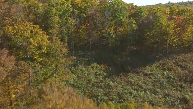 美国缅因州皮斯卡塔基斯县，佩诺布斯科特县，查尔斯顿视频素材