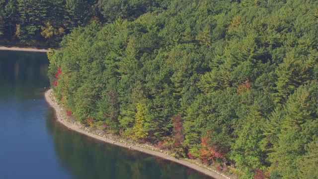 瓦尔登湖附近森林/康科德，马萨诸塞州，美国的WS AERIAL POV视图视频素材