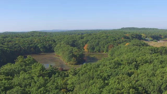 WS AERIAL POV在森林瓦尔登湖的海岸线视图/康科德，马萨诸塞州，美国视频素材