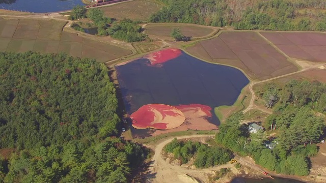 美国马萨诸塞州普利茅斯郡，卡弗，风景越橘田的WS AERIAL POV视图视频素材