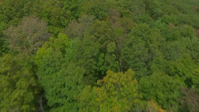 在秋季/米德菲尔德，康涅狄格，美国的Higby山山脊上空的WS AERIAL POV视图视频素材