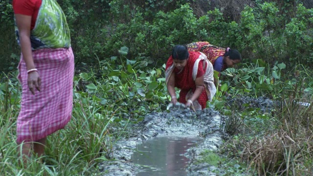 妇女们用锡锅耕地、挖掘和灌溉视频素材