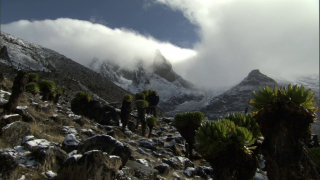 时间推移的云翻腾在巨大的地面(Dendrosenecio)和雪山的顶峰，肯尼亚山，肯尼亚视频素材