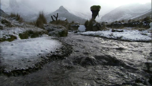 雪融化的水从山上流下，肯尼亚的肯尼亚山视频素材