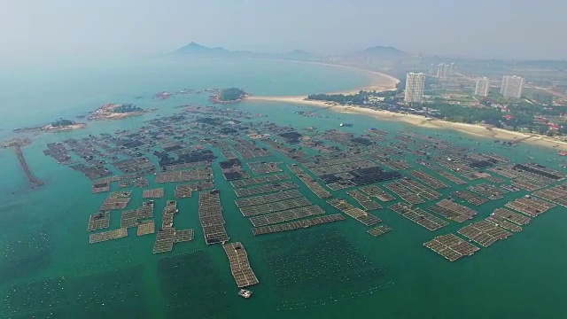 海洋网箱养殖区WS航拍/中国福建视频素材