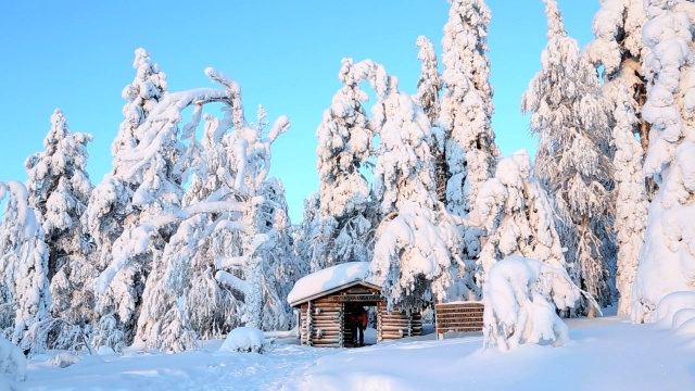 男性步行者Riisitunturi NP冰雪芬兰拉普兰视频素材