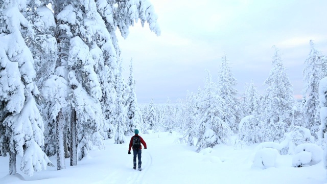 一名男子在拉普兰的雪地里实现了他的目标视频素材