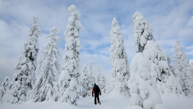 芬兰拉普兰，穿着雪地鞋的男性步行者视频素材