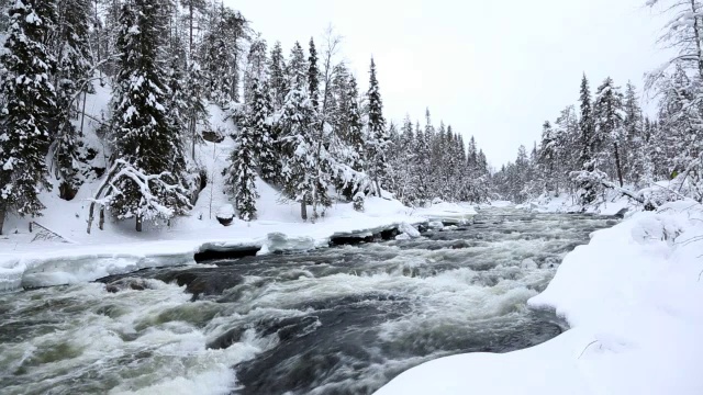 芬兰尤玛乌兰卡河冬季雪云杉林流速快视频素材