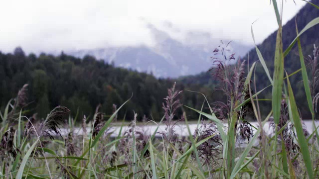 山有湖，山有山，草叶，草屋，远处射视频素材