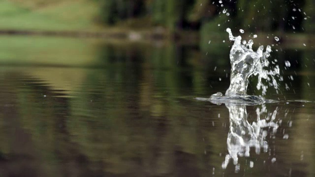 15、山高水浅，小石落水近视频素材