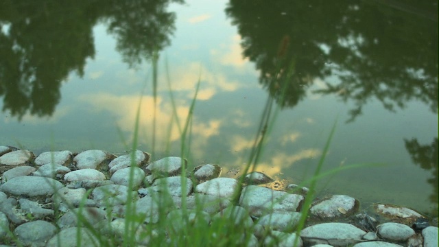 剑道的印象,水视频素材