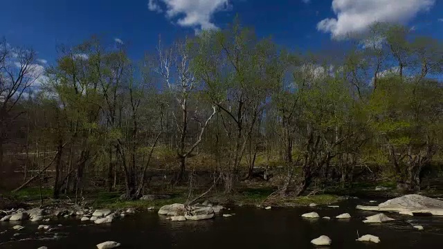 宽阔的镜头，瘦削的树木沿着岩石河岸与明亮的蓝色天空视频素材