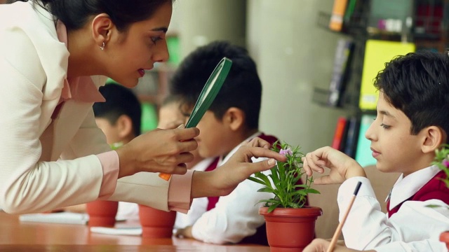 印度北方邦诺伊达，教师向学校学生传授植物生命视频素材