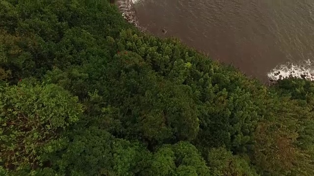 无人机拍摄的毛伊岛热带海岸视频素材