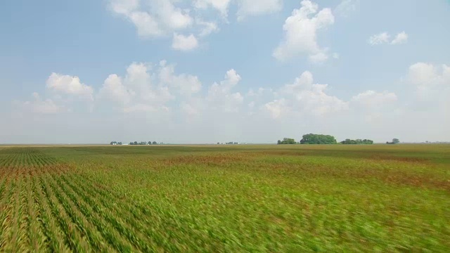 美国蒙大拿州加拉廷县的玉米田鸟瞰图视频素材