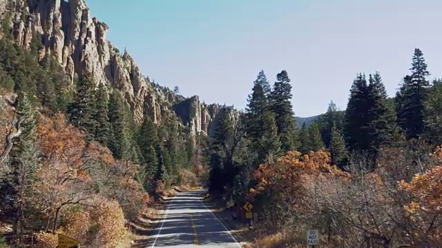 秋天，汽车行驶在绿树成荫的道路上，风景优美视频素材