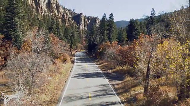 秋天的风景飞过绿树成荫的道路视频素材