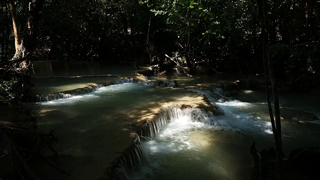 绿林溪流视频素材