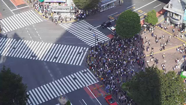 时间流逝鸟瞰图涉谷十字在东京，日本视频素材